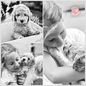 Adorable Cavoodle/Cavapoo Puppies from Australia - DNA tested parents | Expression of interest-4