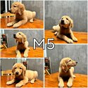 Adorable Golden Doodle puppies seeking loving homes! -3