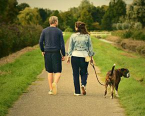 Dog Walking Singapore